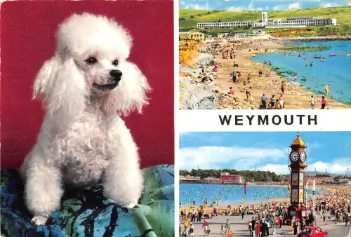 uk26174 weymouth echtfoto uk