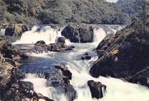 BR89631 Salmon Leap Falls Cenarth Cardiganshire Wales