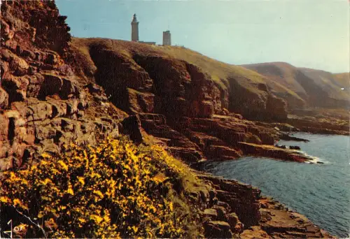 BT8494 Le Cap Frehel le phare et la cote sauvage France
