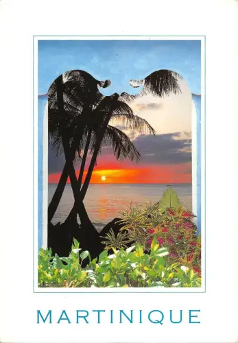 BT9862 reve de tropiques martinique France caribbean