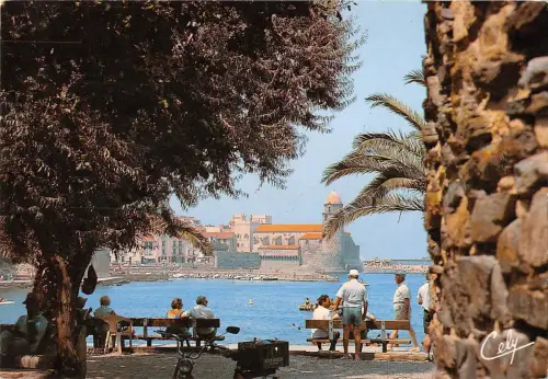 BR85009 collioure la baie et l eglise france