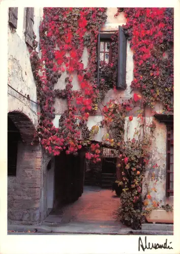 BT5819 Provence passage de l automne Frankreich