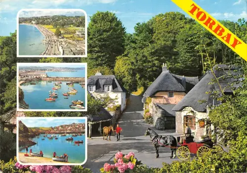 B103010 torbay south devon chariot uk