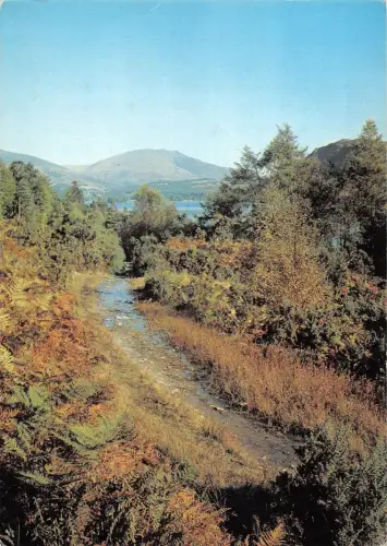 B101757 derwentwater and blencathra from brandelhow cumberland uk