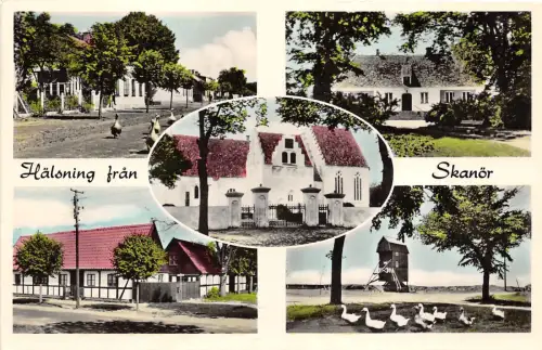 BG29579 halsning fran skanor sweden CPSM 14x9cm