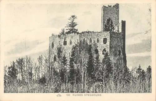 B106774 Deutschland Burgruine Spesburg Schloss