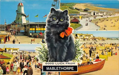 BR66379 viel Glück von mablethorpe Katze UK 14x9cm