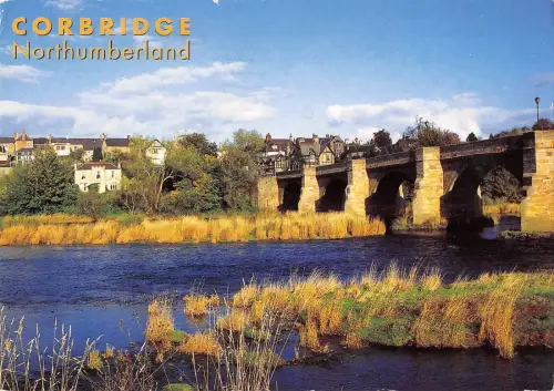 BR89654 corbridhe northumberland uk