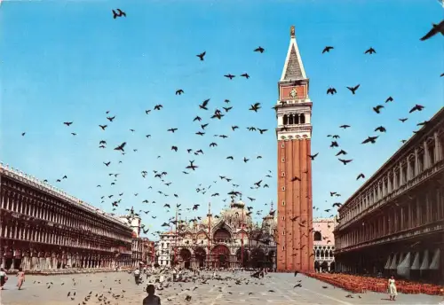 BT1857 venezia piazza s marco volo di colombi italy