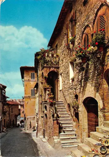 BT0387 Assisi una via con i balconi gioriti Italien