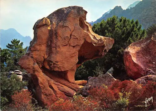 BR25941 Calanche de Piana La tete de Chien france
