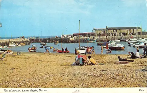 B104151 the harbour lyme regis dorset uk