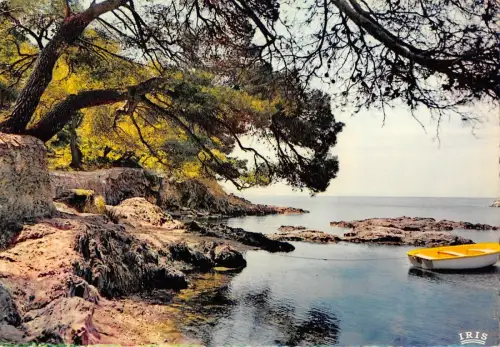 BT6911 Les Pinedes au bord de la mediteranee Frankreich
