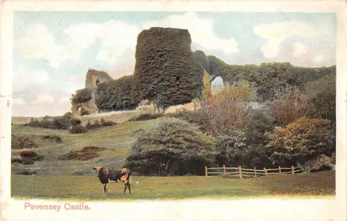 uk31625 pevensey castle uk