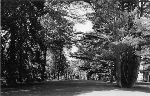 BR28919 Un coin du parc Divonne les bains frankreich