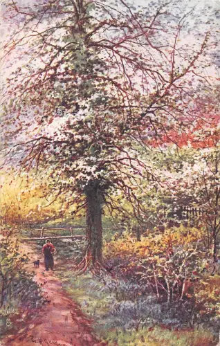 uk27972 malerisches devon uk