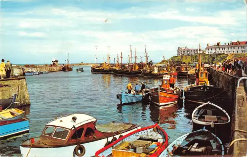 uk22977 the harbour seahouses uk