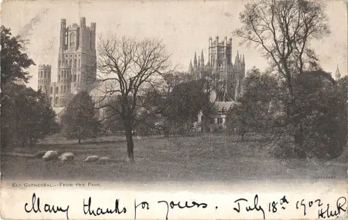 uk22518 ely cathedral from the park real photo uk