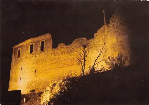 BR49213 Greoux les bains le chateau illumine Frankreich