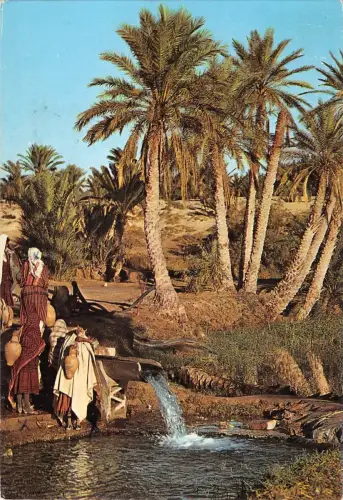 BT4979 Oasis de tunisie Tunesien