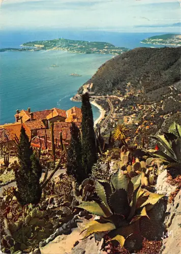 BT8839 Eze du jardin exotique France