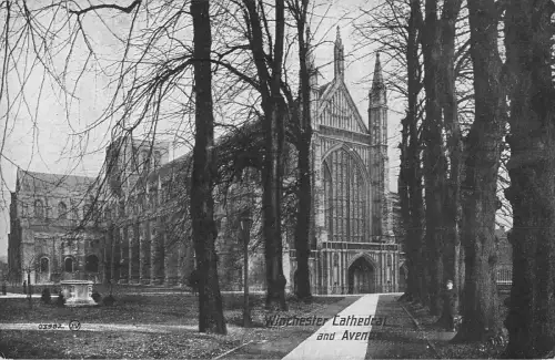 uk17653 avenue winchester cathedral real photo uk