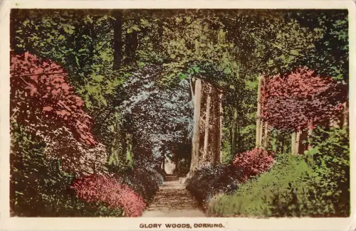 BR101459 glory woods dorking uk