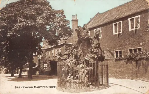 uk23604 Märtyrer Baum Brentwood Echtfoto UK