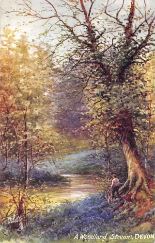 uk27332 woodland stream devon uk