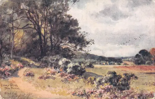 uk17943 emery down new forest uk