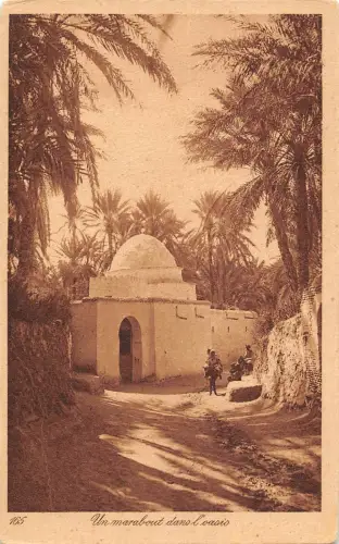 B105373 Tunesien Un marabout dans L'Oasis