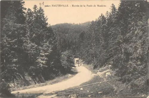 B105003 Frankreich Hauteville Entree Foret de Mazieres Road Forest