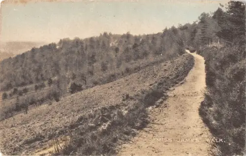 uk27354 miss james walk uk