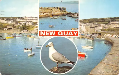 uk4781 new quay newquai newquay uk