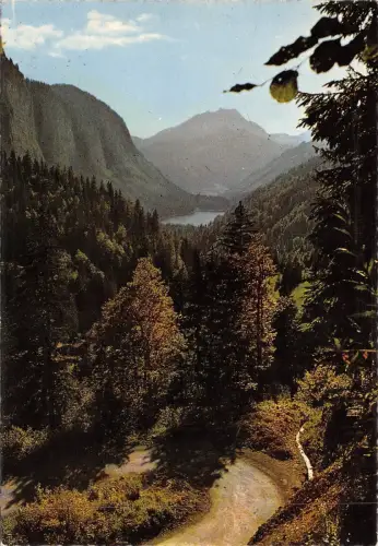 BF612 lac de montrond le roc d enfer France