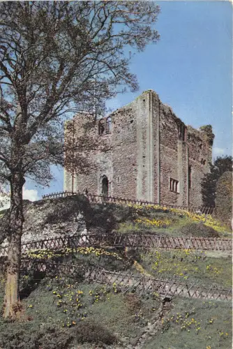 uk46005 guildford castle uk