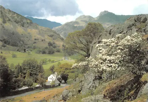 uk34346 langdale valley uk