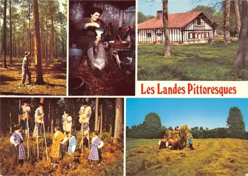 BR52675 Les landes pittoresque Frankreich
