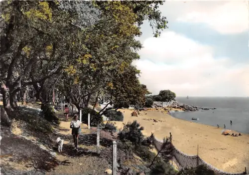 BR12136 Ile de Noirmoutier La Plage st pierre Echtfoto Frankreich