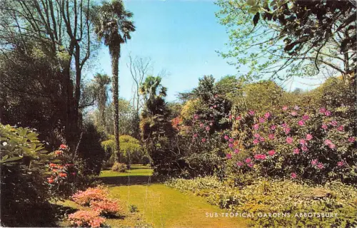 uk7478 sub tropical gardens abbotsbury uk