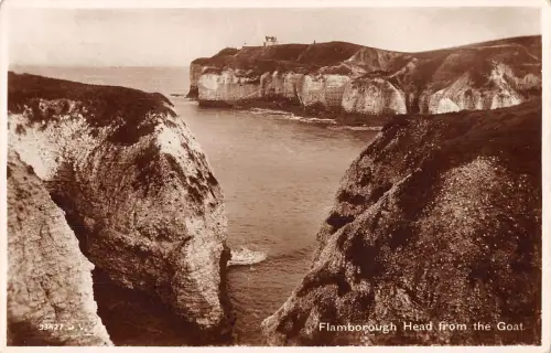 uk24251 Kopf vom Ziegenflamborough Echtfoto UK