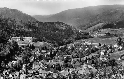 BG15047 Herrenalb Schwarzwald Germany CPSM 14x9cm