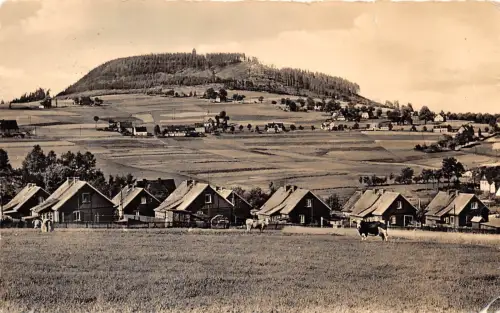 BG15088 barenstein teilansicht mit berg cow vache germany CPSM 14x9cm
