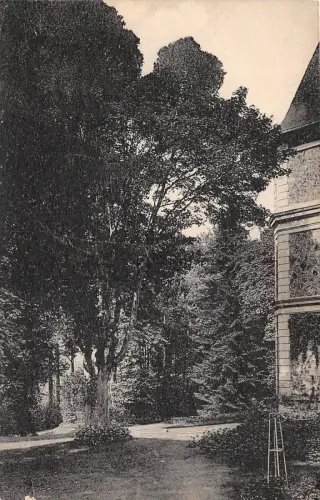 BR7212 Arbres Tree ́s france