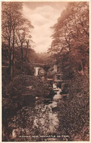 uk28132 jesmond dene newcastle upon tyne echtfoto uk