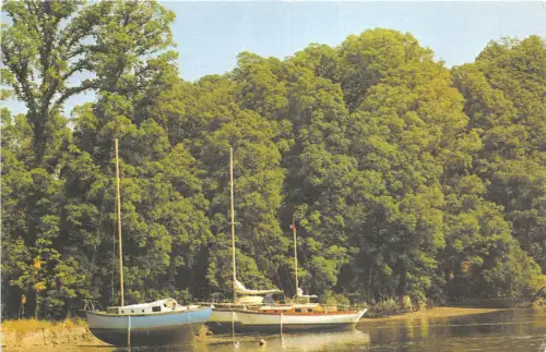 uk47092 gillian creek helston cornwall uk