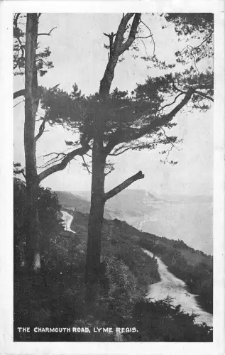 uk22892 charmouth road lyme regis real photo uk