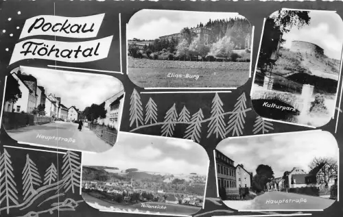 BG23173 Pockau Flohatal Multi Views Germany CPSM 14x9cm