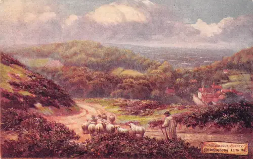 uk24068 malerisches surrey coldharbour leith hill uk