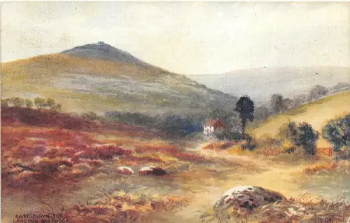 auk41423 east down tor lagoon dartmoor uk